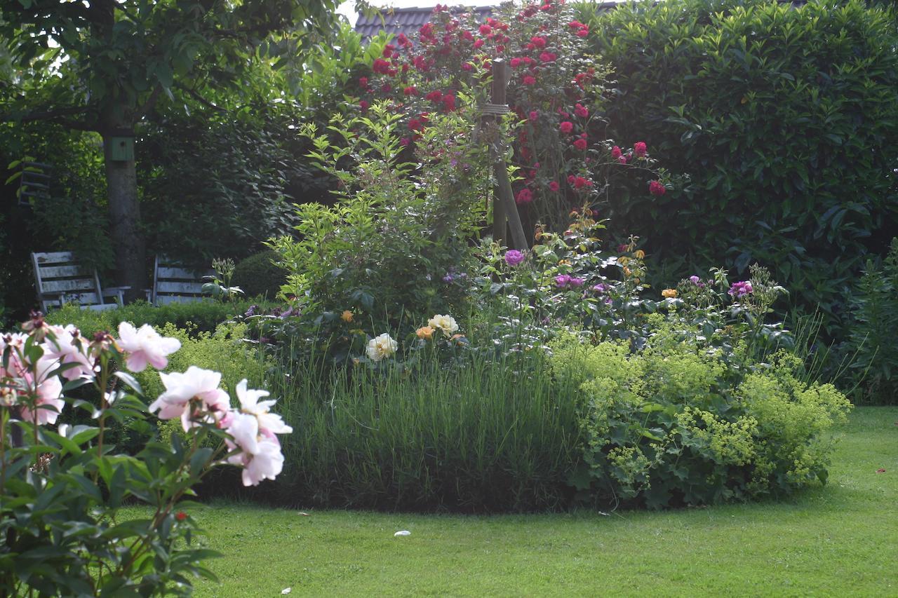 B&B Aan De Burgt Boekel Exteriér fotografie